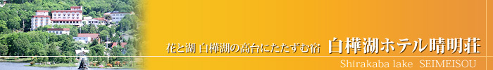 白樺湖ホテル晴明荘