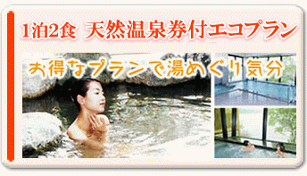 白樺湖ホテル晴明荘 天然温泉券付プラン